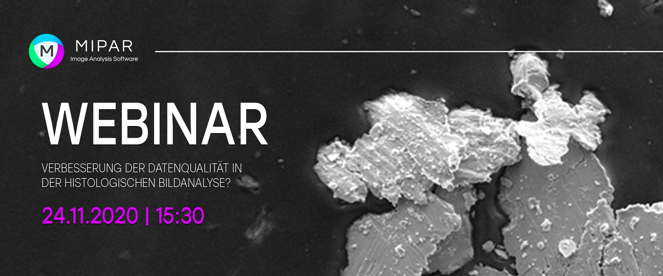 MIPAR Webinar – Wie man die Datenqualität in der histologischen Bildanalyse verbessert